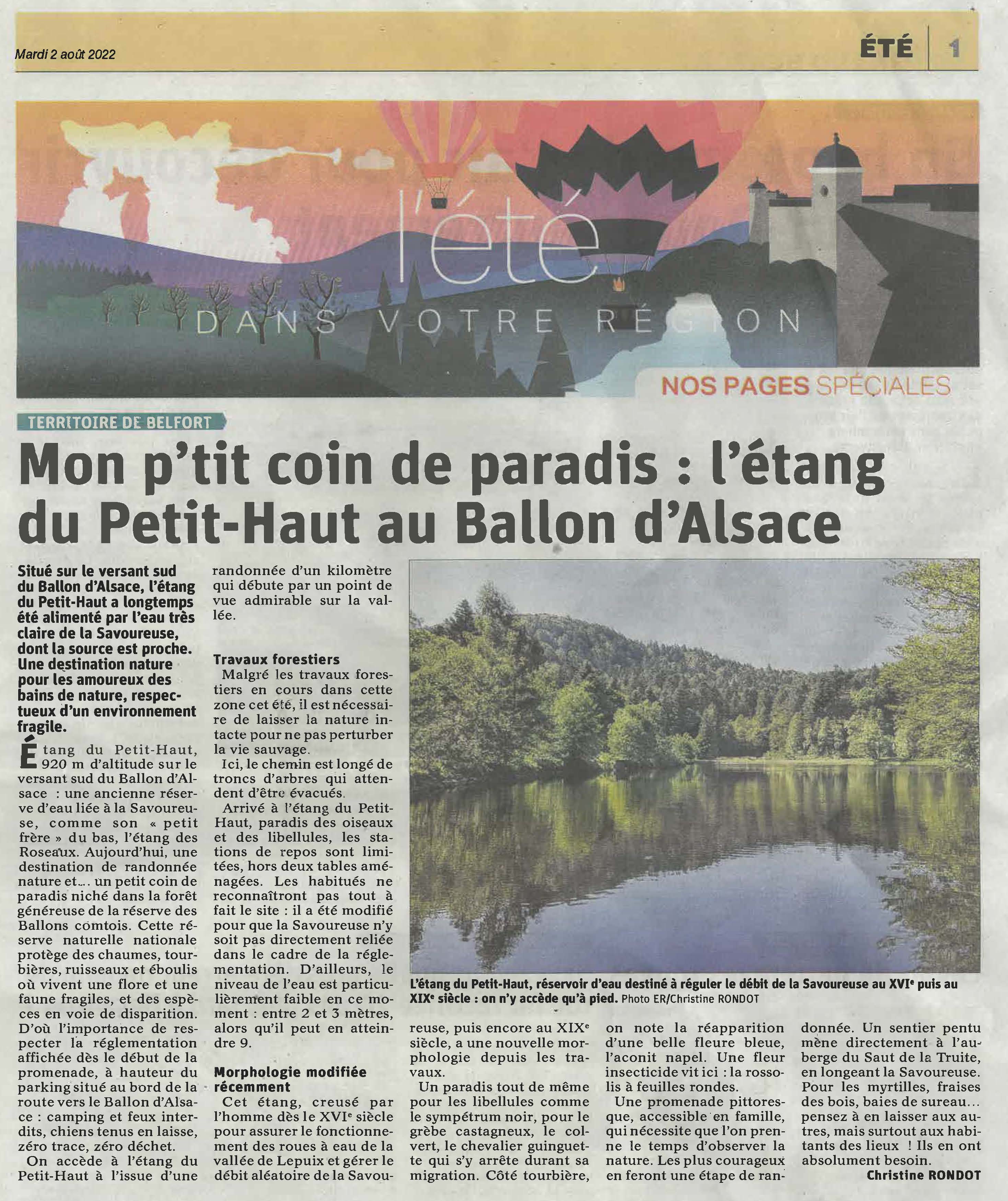 petit haut